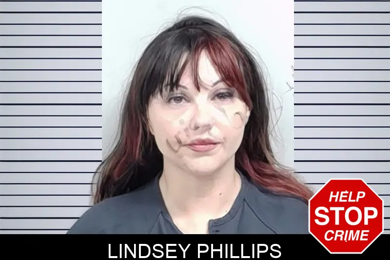 Lindsey Phillips mugshot – Lowndes County , Georgia Lindsey Phillips mugshot
