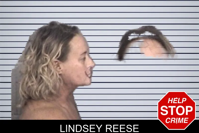 Lindsey Reese mugshot – Barrow County , Georgia Lindsey Reese mugshot