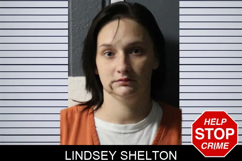 Lindsey Shelton mugshot – Lumpkin County , Georgia Lindsey Shelton mugshot