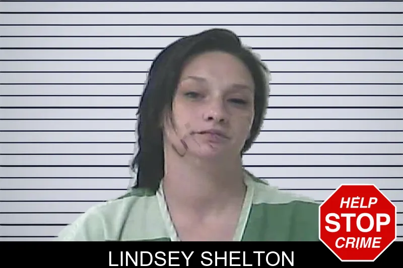 Lindsey Shelton mugshot