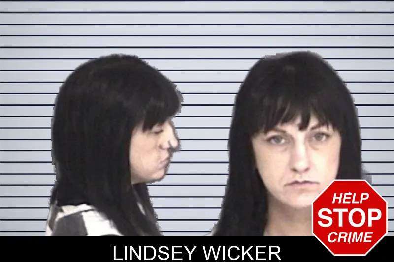 Lindsey Wicker mugshot – Barrow County , Georgia Lindsey Wicker mugshot