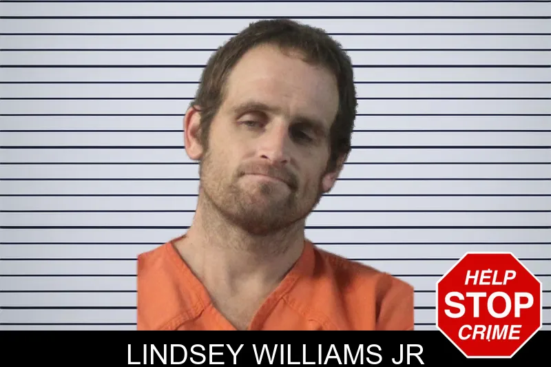 Lindsey Williams Jr mugshot
