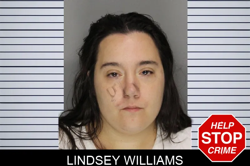 Lindsey Williams mugshot – Cobb County , Georgia Lindsey Williams mugshot