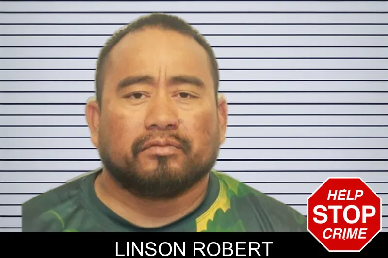 Linson Robert mugshot – Chatham County , Georgia Linson Robert mugshot