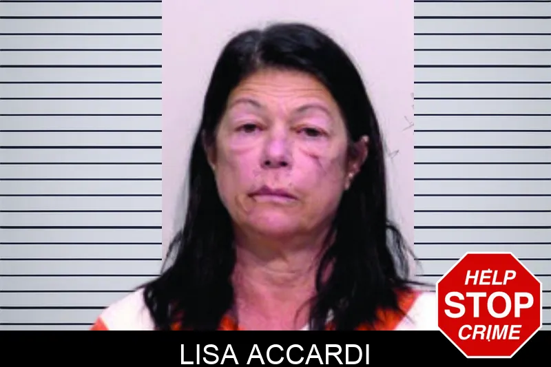 Lisa Accardi mugshot – Bartow County , Georgia Lisa Accardi mugshot