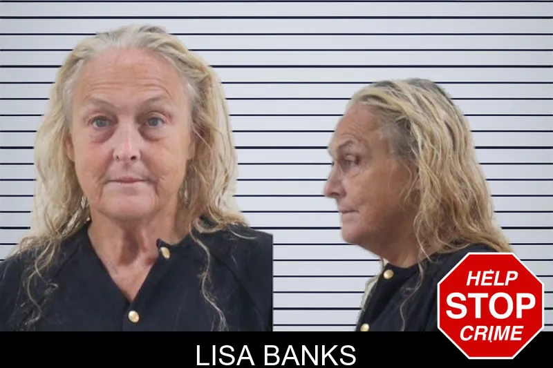 Lisa Banks mugshot – Houston County , Georgia Lisa Banks mugshot