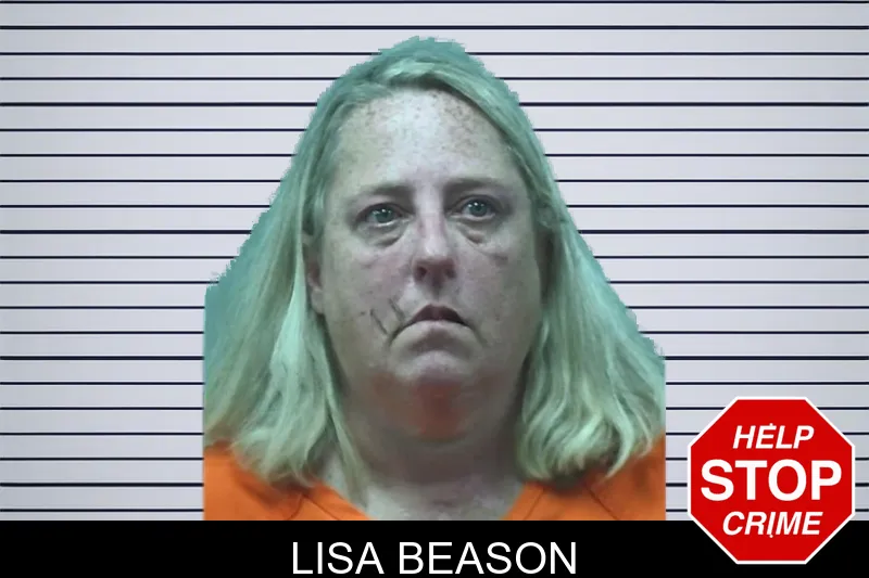 Lisa Beason mugshot – Bleckley County , Georgia Lisa Beason mugshot