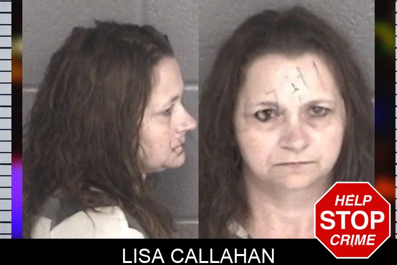 Lisa Callahan mugshot
