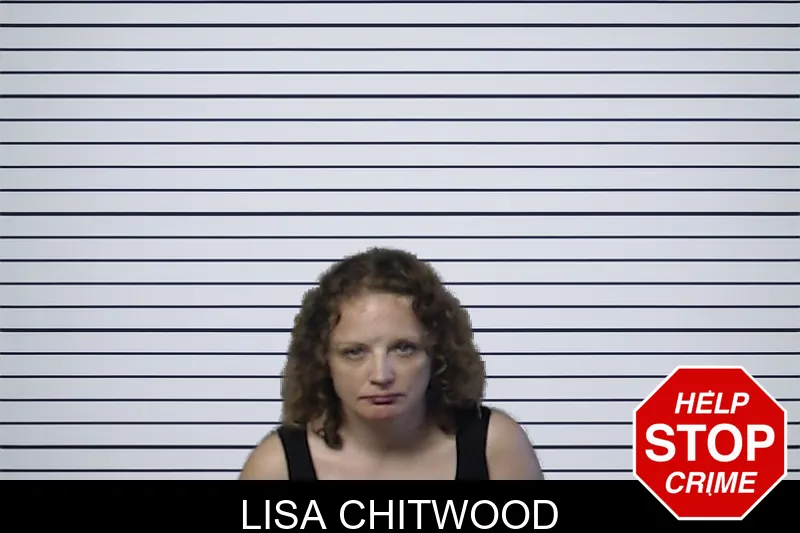 Lisa Chitwood mugshot – DeKalb County , Georgia Lisa Chitwood mugshot