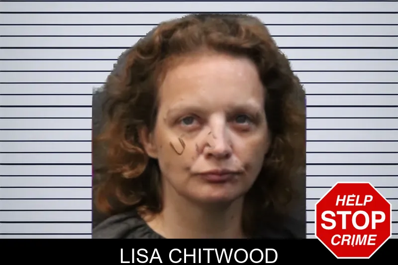 Lisa Chitwood mugshot – Forsyth County , Georgia Lisa Chitwood mugshot