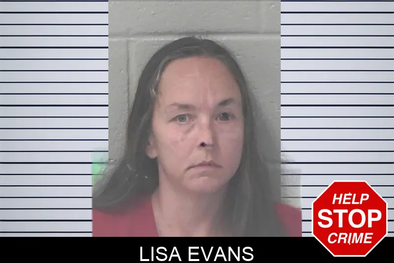 Lisa Evans mugshot
