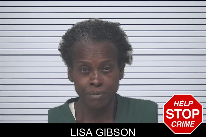 Lisa Gibson mugshot – Gwinnett County , Georgia Lisa Gibson mugshot
