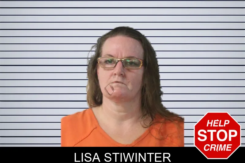 Lisa Stiwinter mugshot – Lumpkin County , Georgia Lisa Stiwinter mugshot