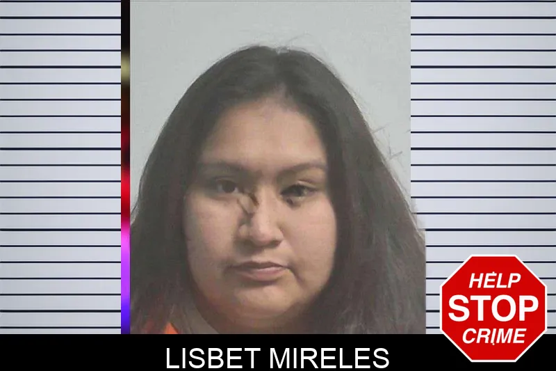 Lisbet Mireles mugshot