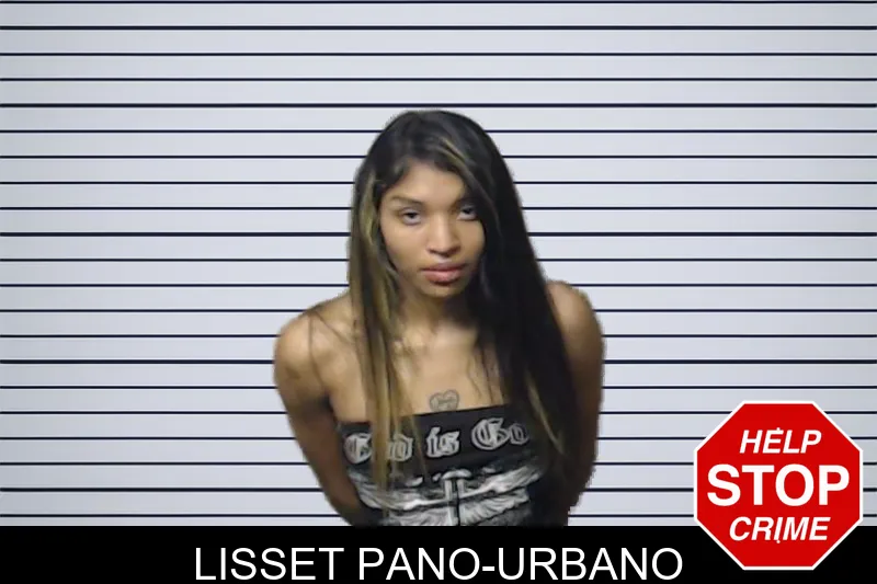 Lisset Pano-Urbano mugshot – DeKalb County , Georgia Lisset Pano-Urbano mugshot