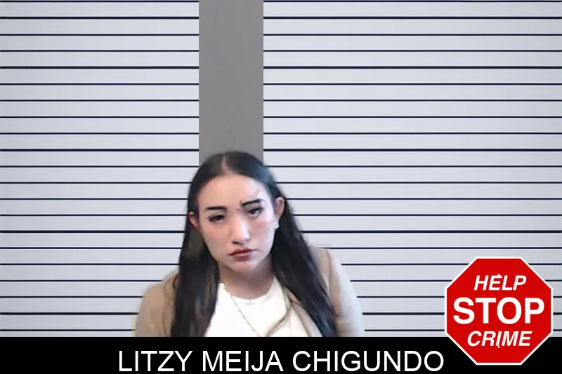 Litzy Meija Chigundo mugshot – DeKalb County , Georgia Litzy Meija Chigundo mugshot