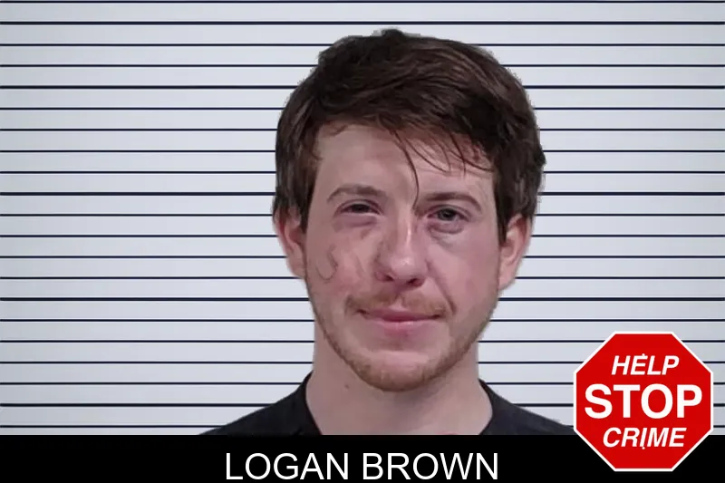 Logan Brown mugshot – Lowndes County , Georgia Logan Brown mugshot