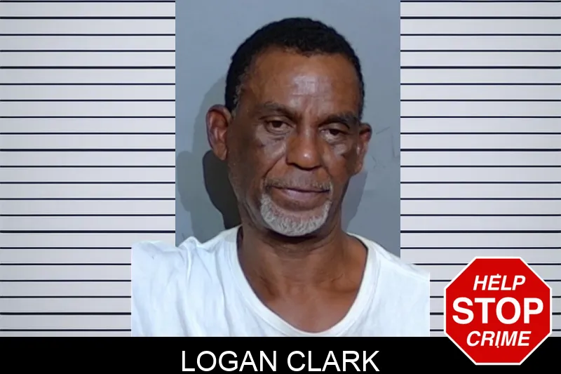 Logan Clark mugshot – Glynn County , Georgia Logan Clark mugshot
