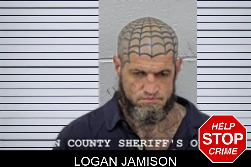 Logan Jamison mugshot – Walton County , Georgia Logan Jamison mugshot