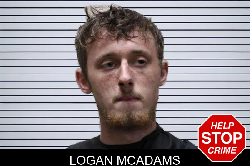 Logan McAdams mugshot – Haralson County , Georgia Logan McAdams mugshot
