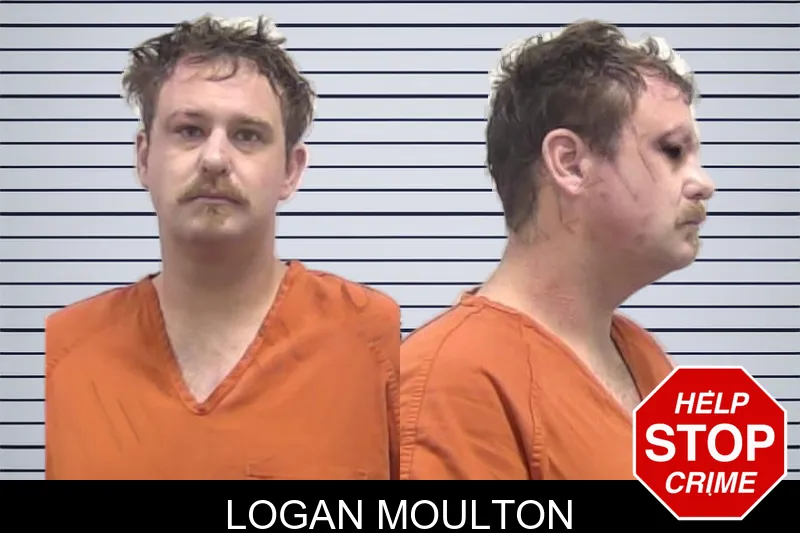 Logan Moulton mugshot