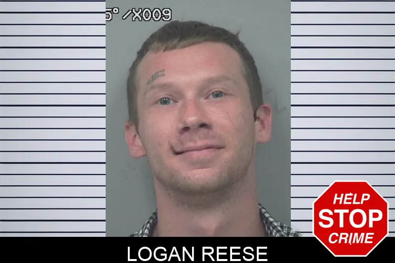 Logan Reese mugshot – Gwinnett County , Georgia Logan Reese mugshot
