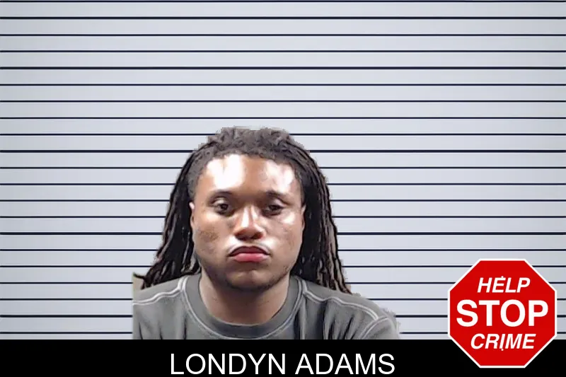 Londyn Adams mugshot – DeKalb County , Georgia Londyn Adams mugshot