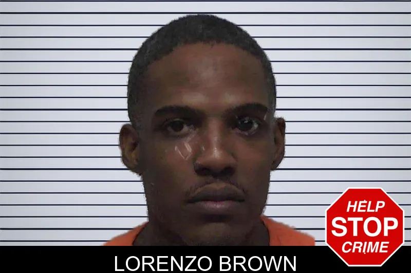 Lorenzo Brown mugshot – Laurens County , Georgia Lorenzo Brown mugshot