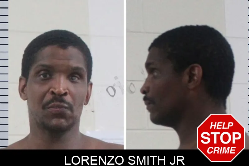 Lorenzo Smith Jr mugshot – Houston County , Georgia Lorenzo Smith Jr mugshot