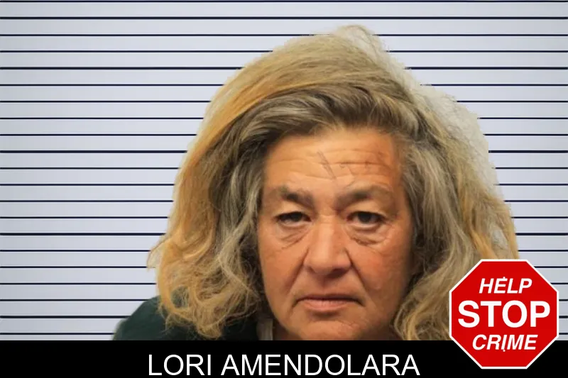 Lori Amendolara mugshot – Chatham County , Georgia Lori Amendolara mugshot