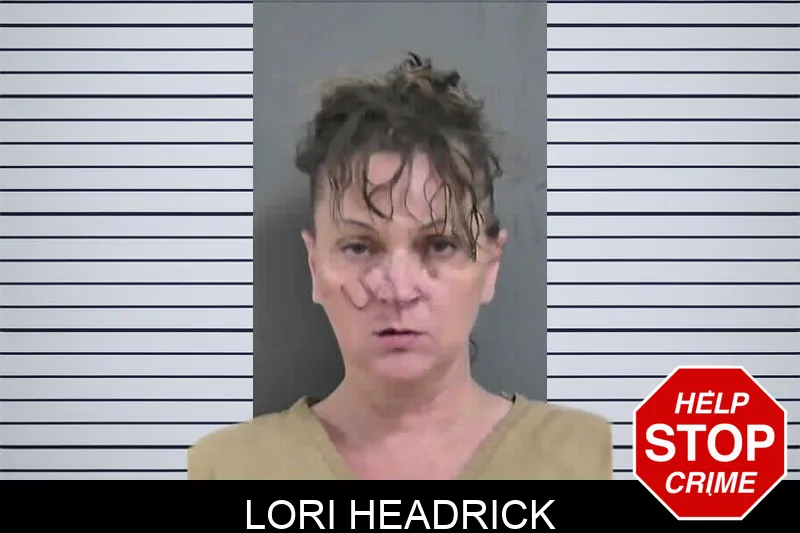 Lori Headrick mugshot