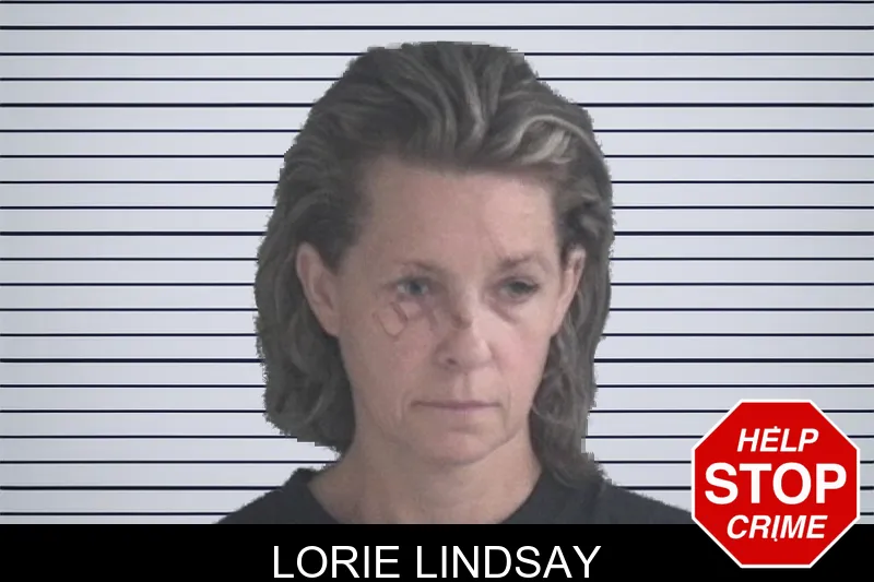 Lorie Lindsay mugshot – Brantley County , Georgia Lorie Lindsay mugshot