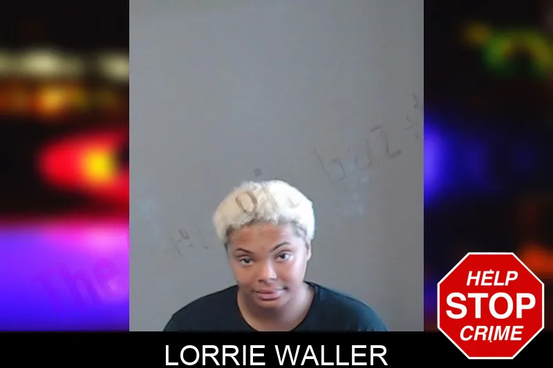 Lorrie Waller mugshot – DeKalb County , Georgia Lorrie Waller mugshot