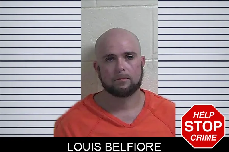Louis Belfiore mugshot – Fannin County , Georgia Louis Belfiore mugshot