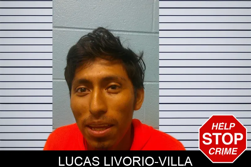 Lucas Livorio-Villa mugshot – Franklin County , Georgia Lucas Livorio-Villa mugshot