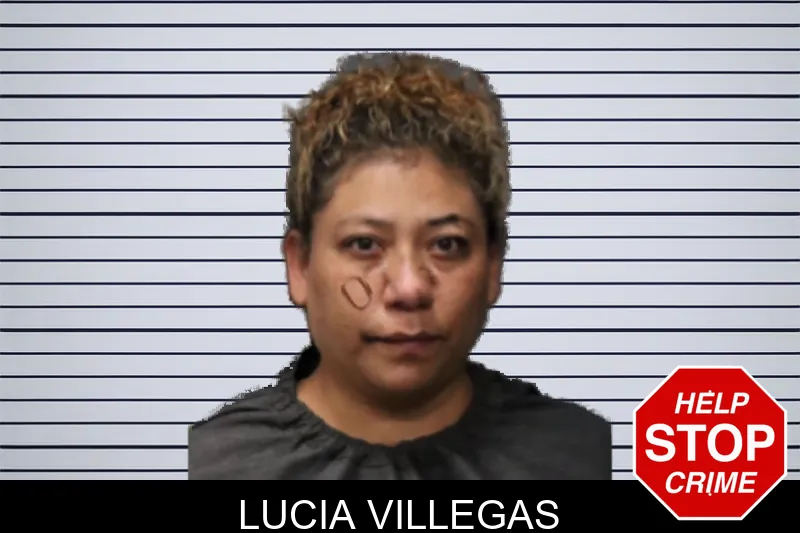 Lucia Villegas mugshot – Forsyth County , Georgia Lucia Villegas mugshot