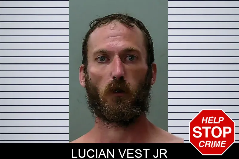 Lucian Vest Jr mugshot – Towns County , Georgia Lucian Vest Jr mugshot