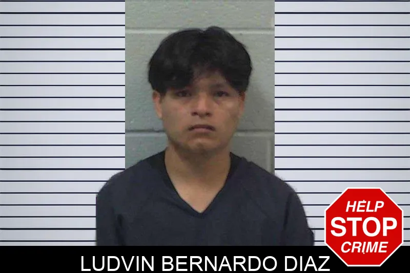 Ludvin Bernardo Diaz mugshot – Gilmer County , Georgia Ludvin Bernardo Diaz mugshot