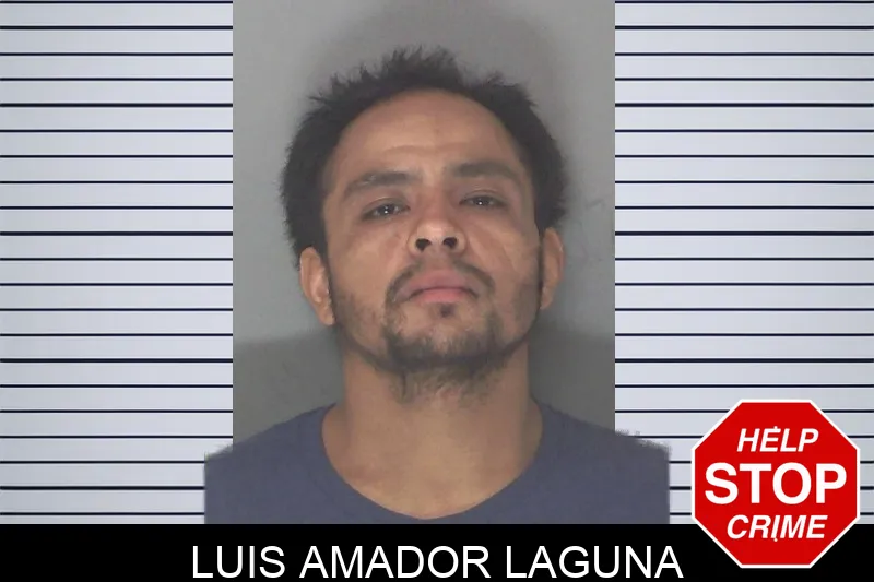 Luis Amador Laguna mugshot – Douglas County , Georgia Luis Amador Laguna mugshot
