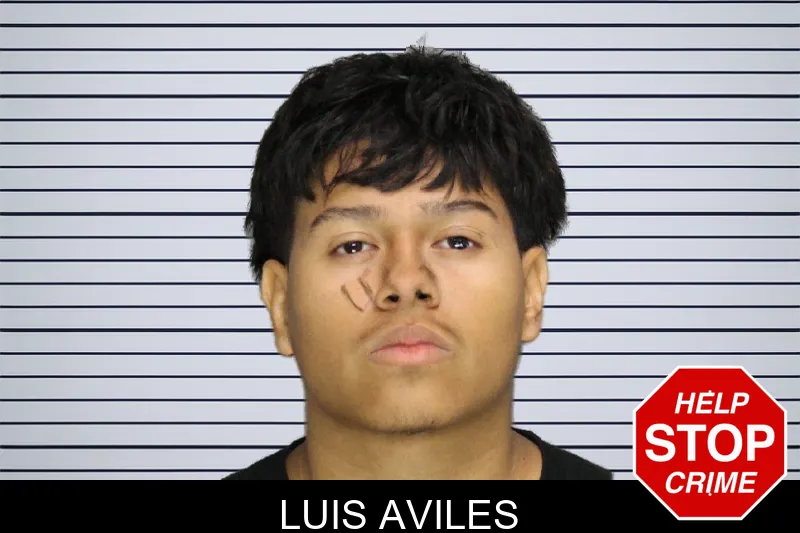 Luis Aviles mugshot – Cobb County , Georgia Luis Aviles mugshot