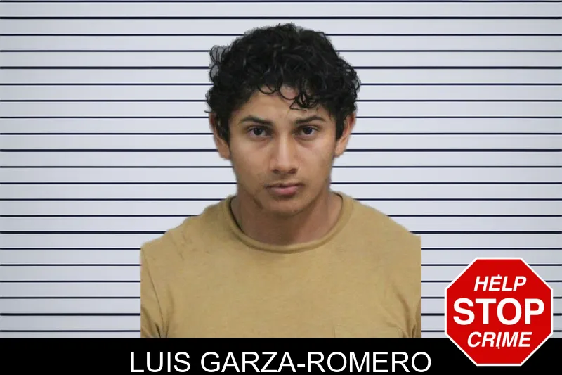 Luis Garza-Romero mugshot