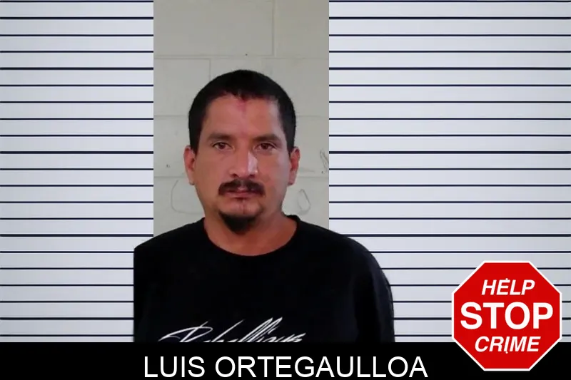 Luis Ortegaulloa mugshot – Liberty County , Georgia Luis Ortegaulloa mugshot