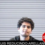 Luis Reducindo-Arellano mugshot