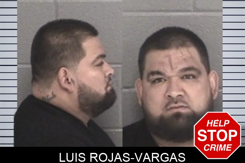 Luis Rojas-Vargas mugshot