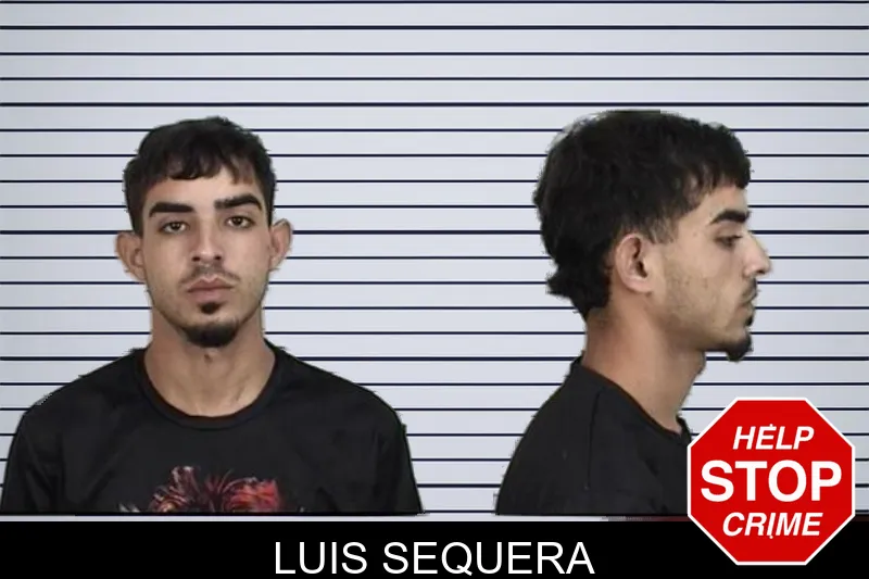 Luis Sequera mugshot – Camden County , Georgia Luis Sequera mugshot