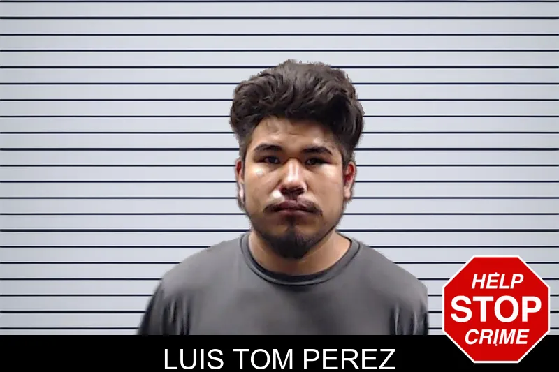 Luis Tom Perez mugshot