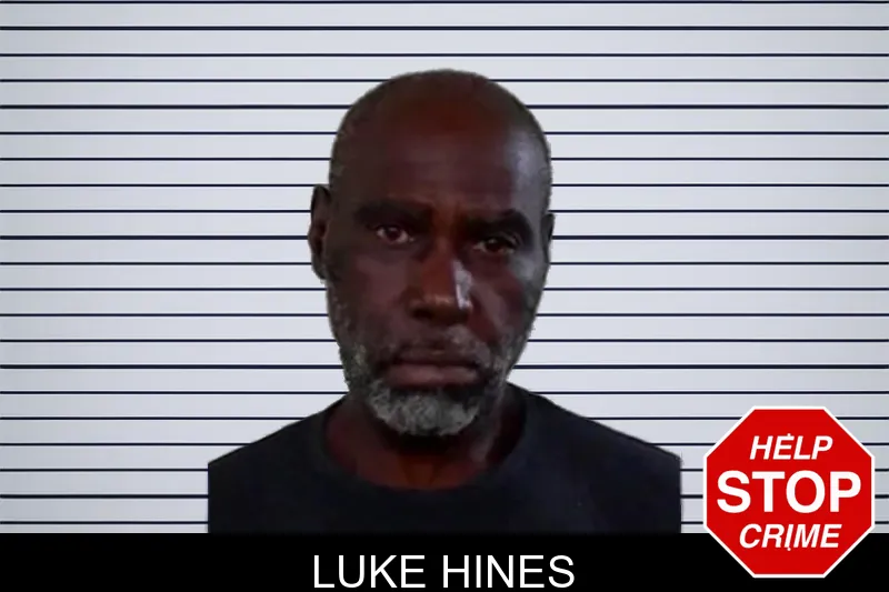 Luke Hines mugshot – Liberty County , Georgia Luke Hines mugshot