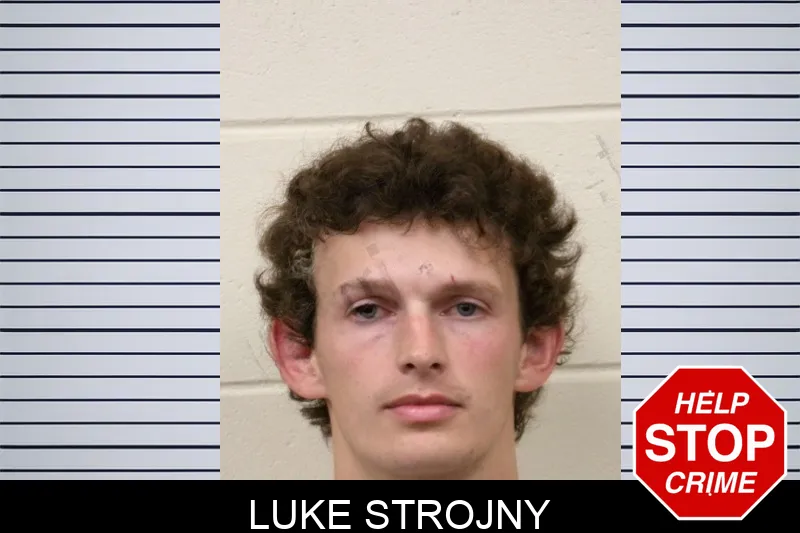 Luke Strojny mugshot – Bulloch County , Georgia Luke Strojny mugshot