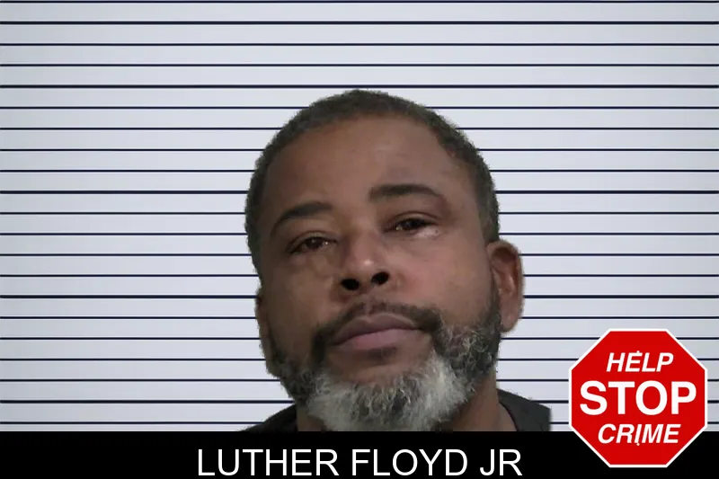 Luther Floyd Jr mugshot – Wayne County , Georgia Luther Floyd Jr mugshot