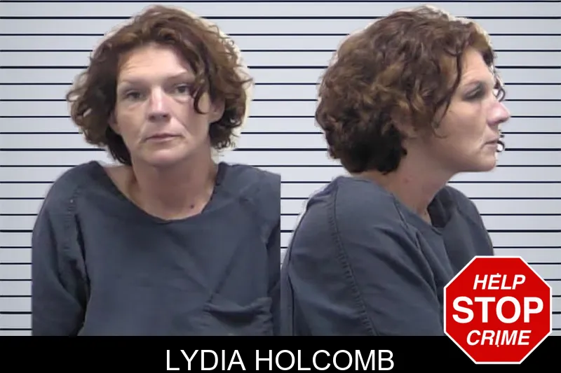 Lydia Holcomb mugshot